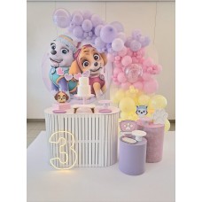 Coleção festiva patrulha canina candy