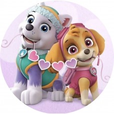 Painel Skye e Everest