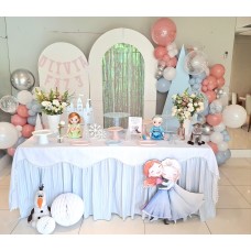 Coleção frozen cute