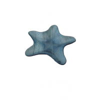 Bandeja estrela do mar azul